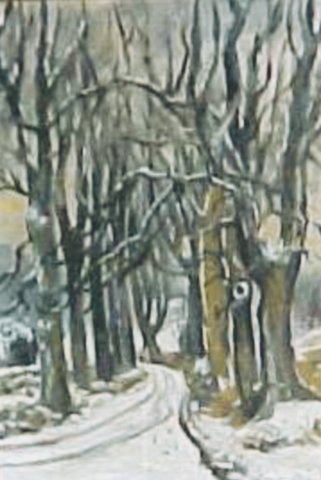 bomenlaanindesneeuw.jpg