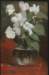cyclamen_small.jpg