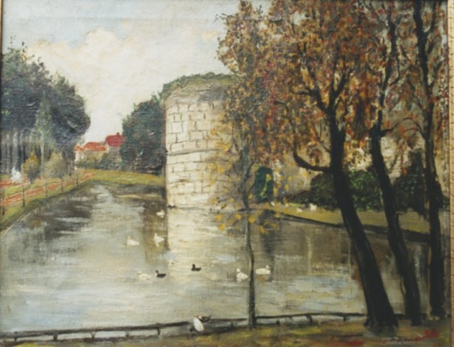 eendenvijverinhetstadsparkmaastricht.jpg