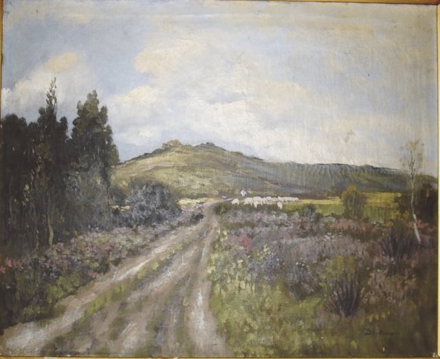 heidelandschaptussenopgrimbieenmechelenbelgi.jpg