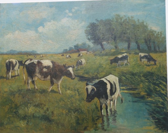 koeienindekanjelbeekinborgharen.jpg