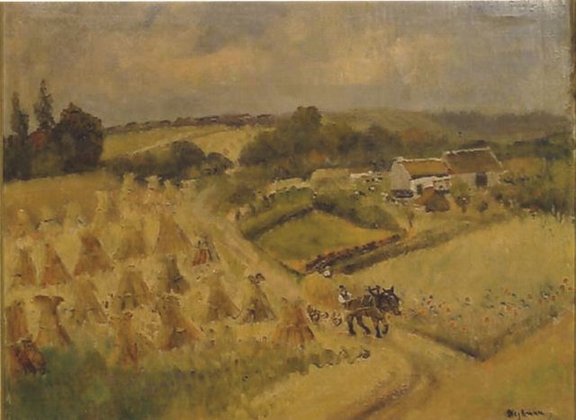 korenvelden.jpg