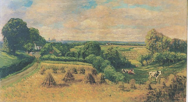 limburgsoogstlandschap.jpg