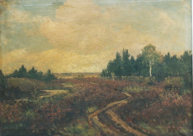 mechelseheide.jpg