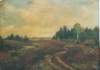 mechelseheide_small.jpg