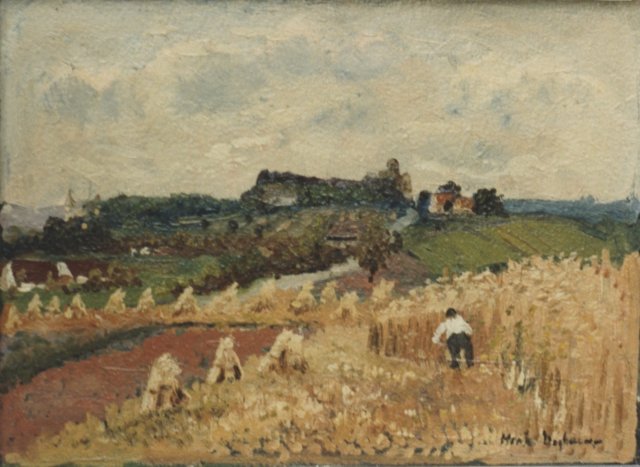 oogstlandschapbijzonneberghoeve.jpg