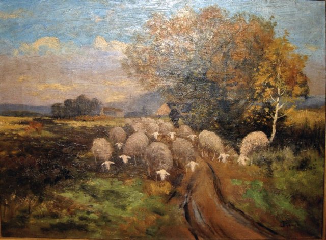 schapeninpeellandschap.jpg