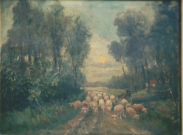 schapenopdeheidebelgi.jpg