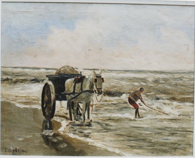 schelpenvisser.jpg